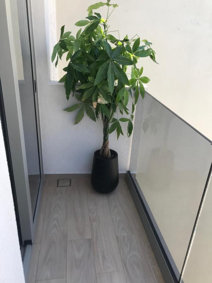 Casbah Boutique Hotel 팔라이오코라 외부 사진